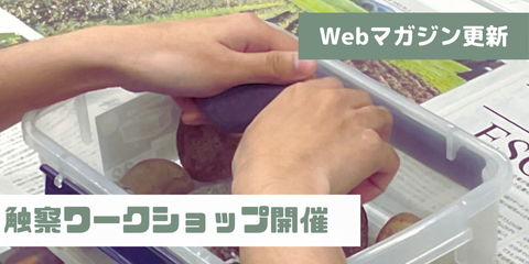 石を触って感触を確かめる様子